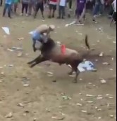 Go to hell motherfucker 