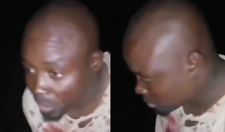 The Horror Of Black Mamba