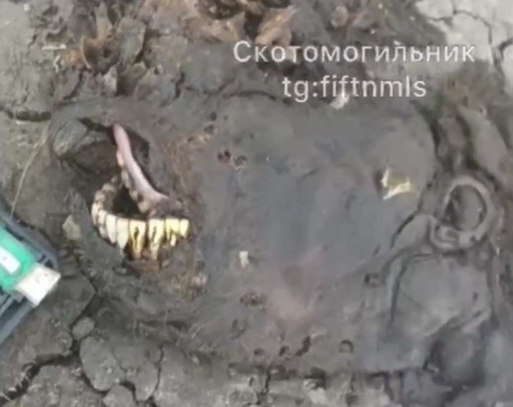 Remains of a Ukrainian hero. 