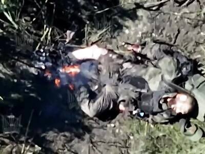 Dead Russians comp (August 18, 2025)