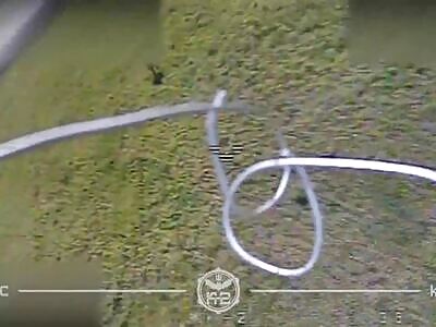 Dead Russians comp II (August 21, 2025)