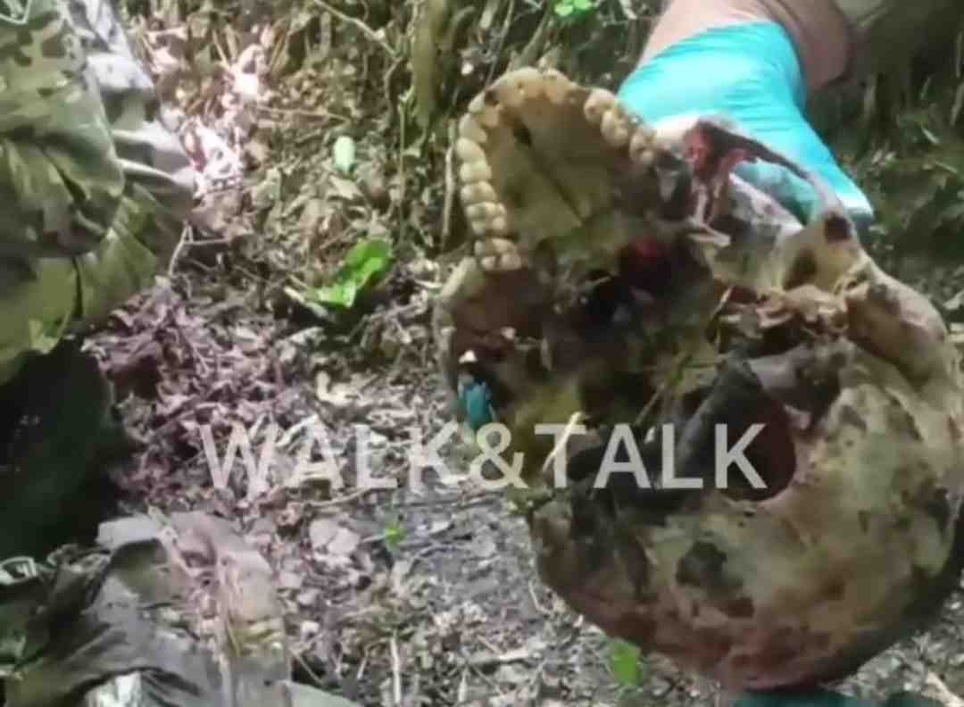 Remnants of the Ukrainian army in Kursk. 