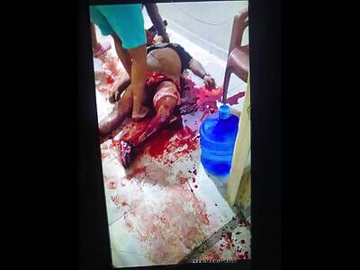 pest control service