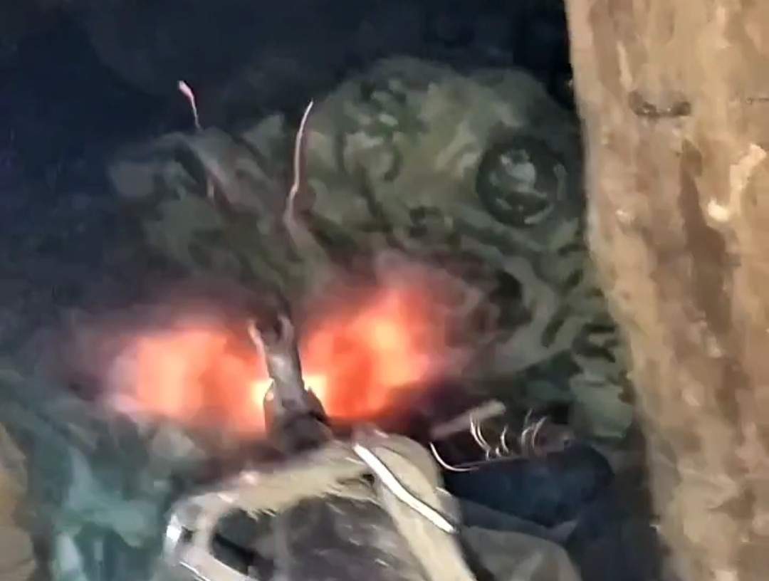 Wounded Ukrainian receives headshot. 