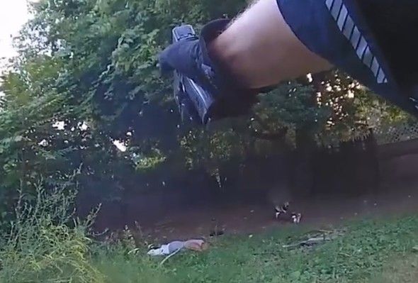 Assault Suspect Shot By Officer After Chase In Rochester