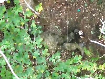 Total annihilation of Russians.