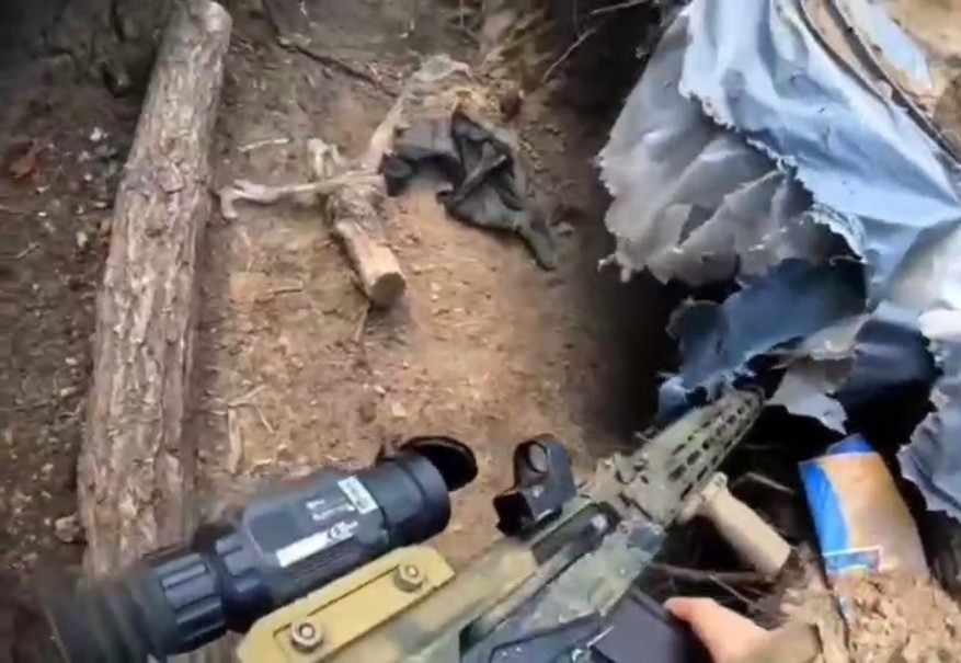 Wave Group, elimination of 41 Ukrainians