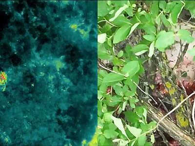 Gooooooooooooooood Morning, Ivan!