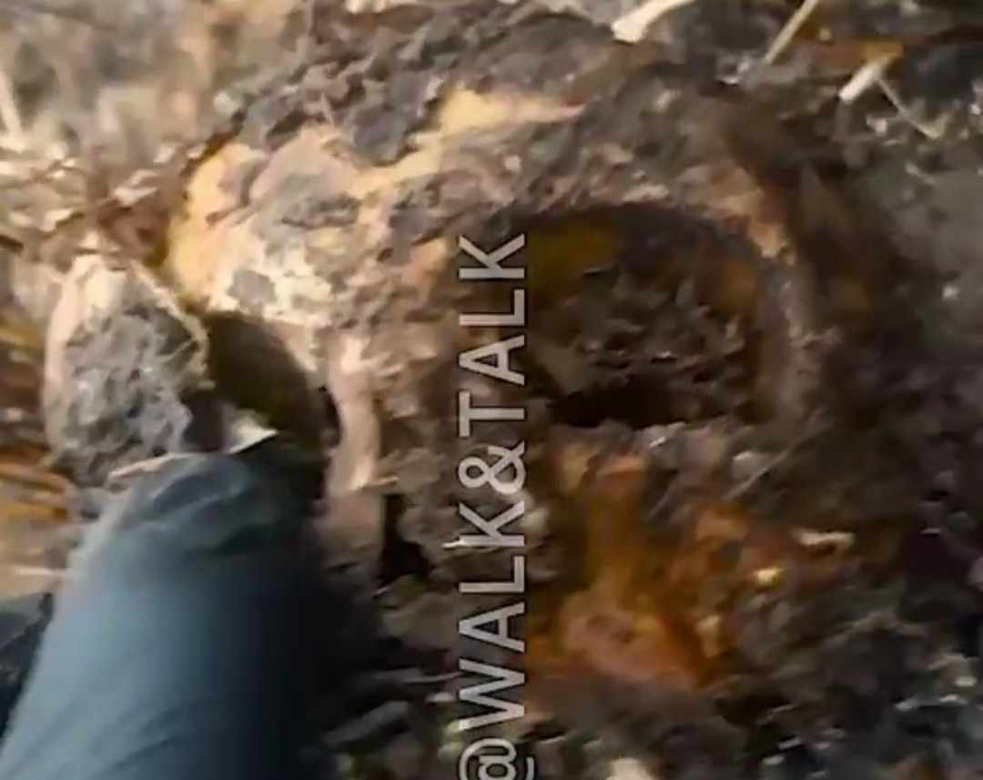 Ukrainian army remains in Kursk.