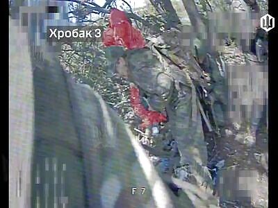 Quadruple kill with one FPV.