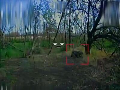 See a Russian? Kill the pig!