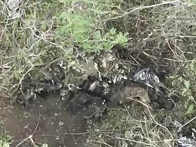 Multiple FPV strikes by the Predator Brigade.