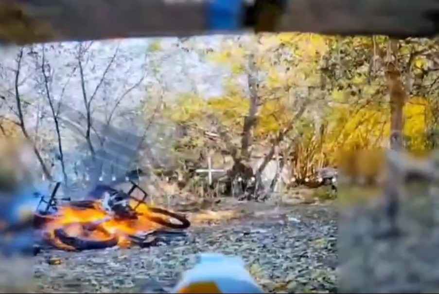 Rubicon compilation 40. 