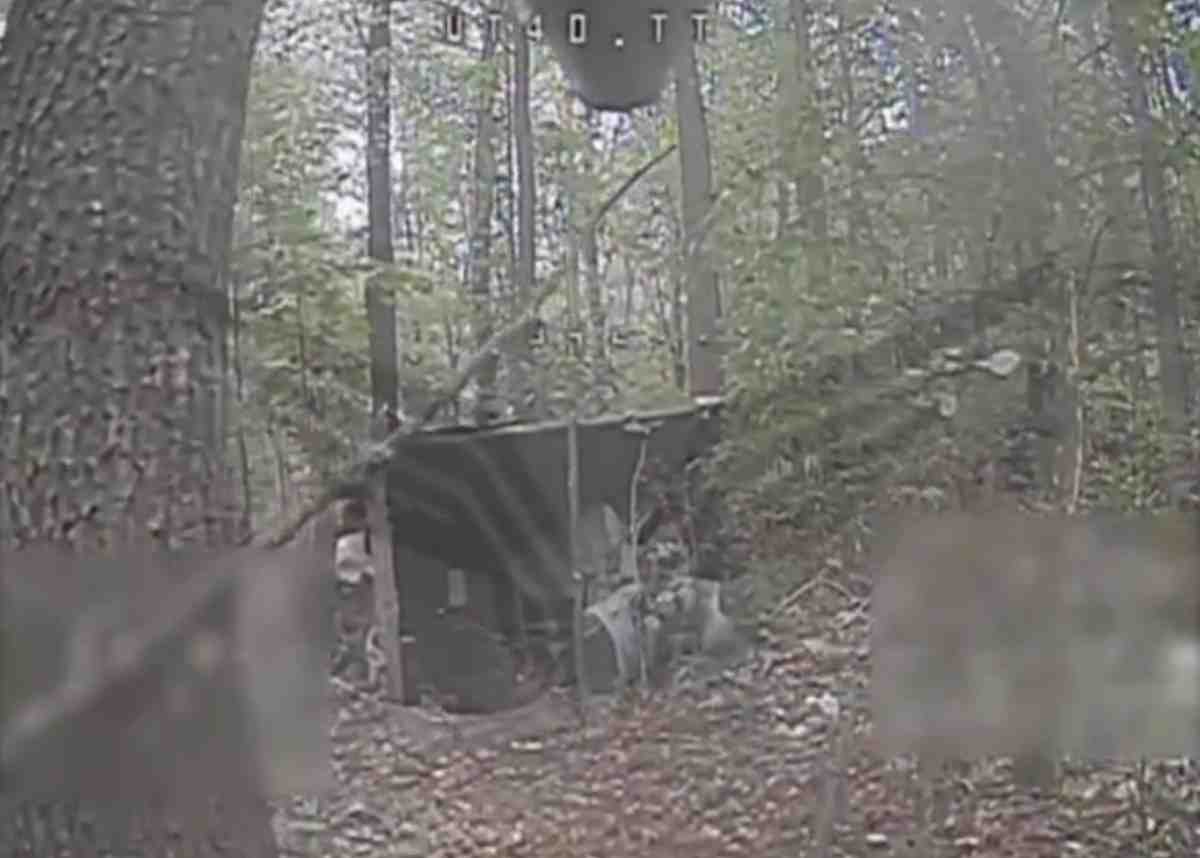 Rubicon compilation 43. 