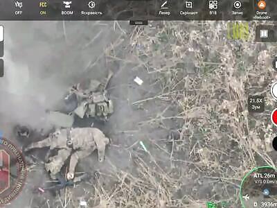 Dropping grenades on Russian heads.