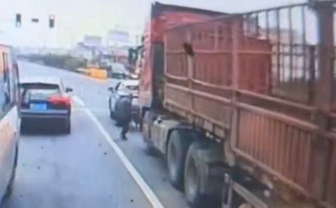 Too Old And Slow To Survive This