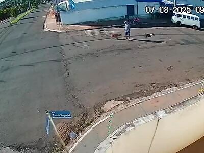 Elderly man becomes quadriplegic after being 'run over' by dog