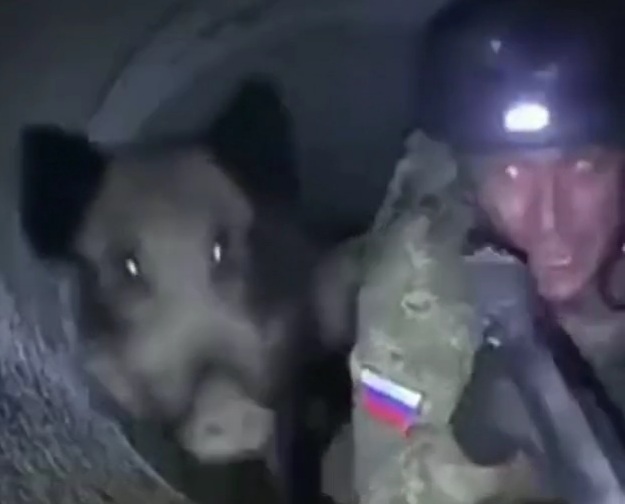 Soldier stuck in tunnel scared by boar 