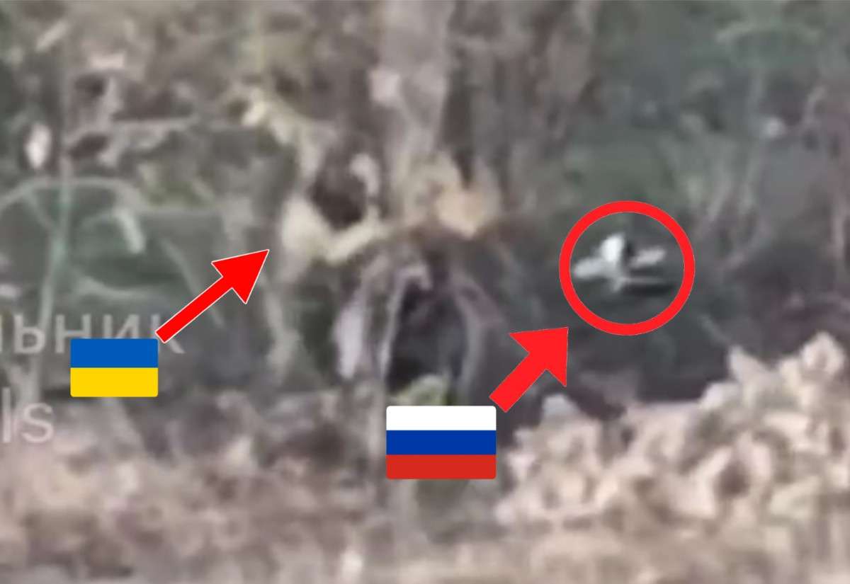 Ukrat plays hide-and-seek but loses. 