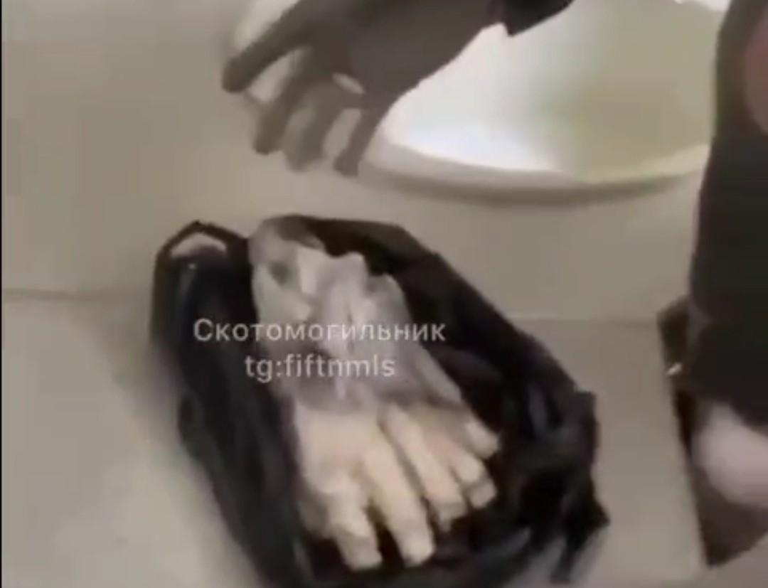 Chechens ready to make Ukrainian hoof roast.