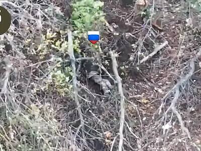 Dead Russians comp II (October 6, 2025)