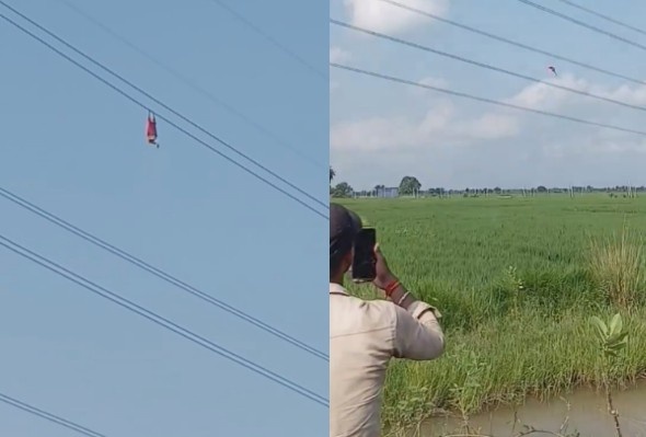 How Did He Get There? Nice Fall Tho