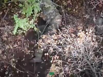 Dead Russians comp II (October 9, 2025)