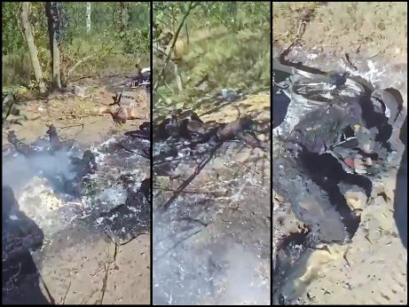 Swarm of Shredded, Torched Russians along the Road