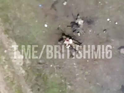 Dead russhits everywhere