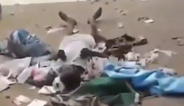 RSF Militants Execute Wounded Civilians Inside A Hospital