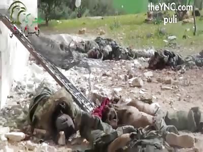 The rebels have killed 30 Assad forces in the village
