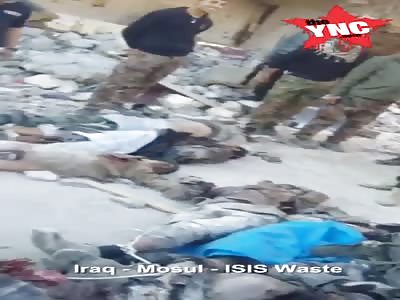  IRAQ-MOSUL ISIS WASTE