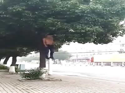 man hanged in a tree, in the square