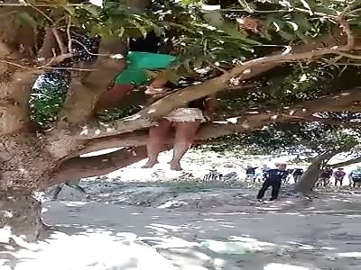 fuck ... woman hangs herself in a tree