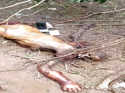 Body found in a state of putrefaction