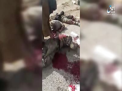 PKK killed in a package of Islamic state fighters on the village road,