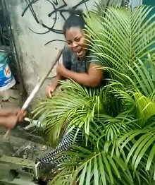 Young Gang Punish Woman for Stealing