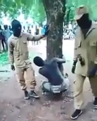 African Man Tied to Tree, Beaten Up on Allegations of Theft