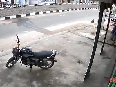 MAN ATTACKED BY MONKEYS