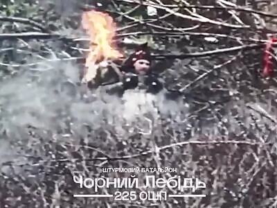 225th Regiment eliminates the Russians. October 2025 compilation.