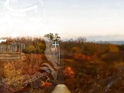 Mustard plaster for quad pig