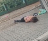 WOMAN BEING ATTACKED BY SWARM OF BEES