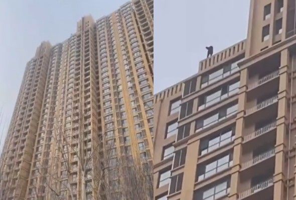 Woman Jumps From A Very Tall Building