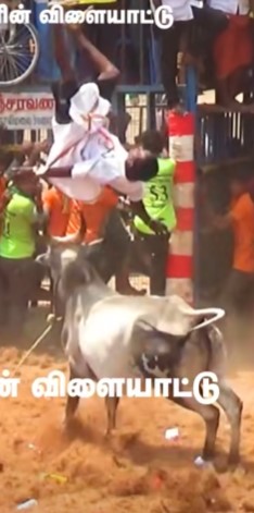 Surprise motherfucker 