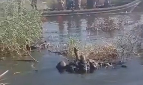 Footage from the war between Boko Haram and ISWAP around the Lake Chad