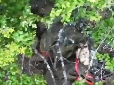 The 54th Brigade kills Russians.