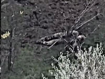 Dead Russians comp (November 17, 2025)