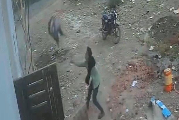 Painter Falls To His Death (Better Quality)