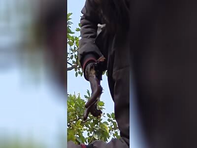 HE HAD PROBLEMS WITH THE ELECTRICITY