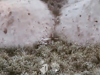 Chervona Kalyna brigade compilation.